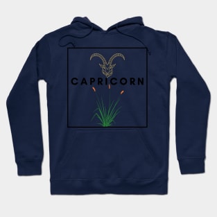 Capricorn zodiac Hoodie